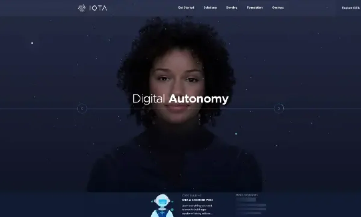 IOTA (IOTA)