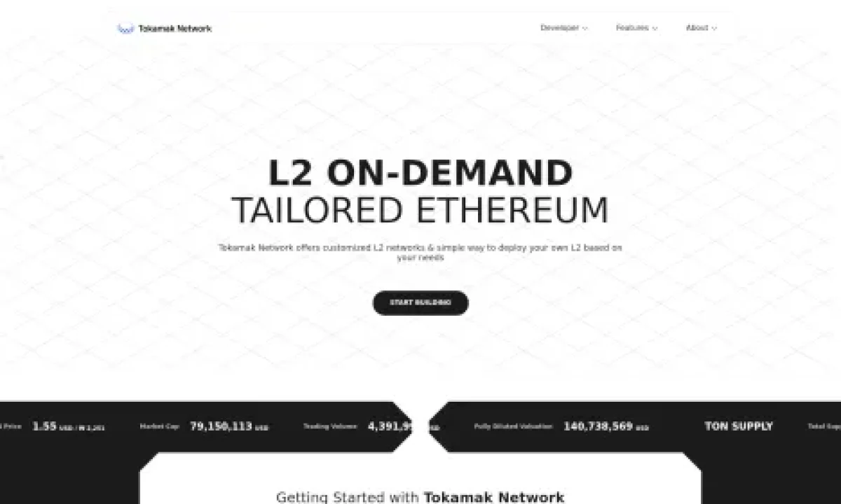 Tokamak Network (TON)